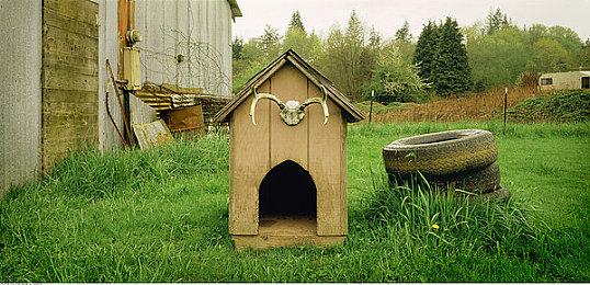 《战神：诸神黄昏》现已解锁 需绑定PSN账户